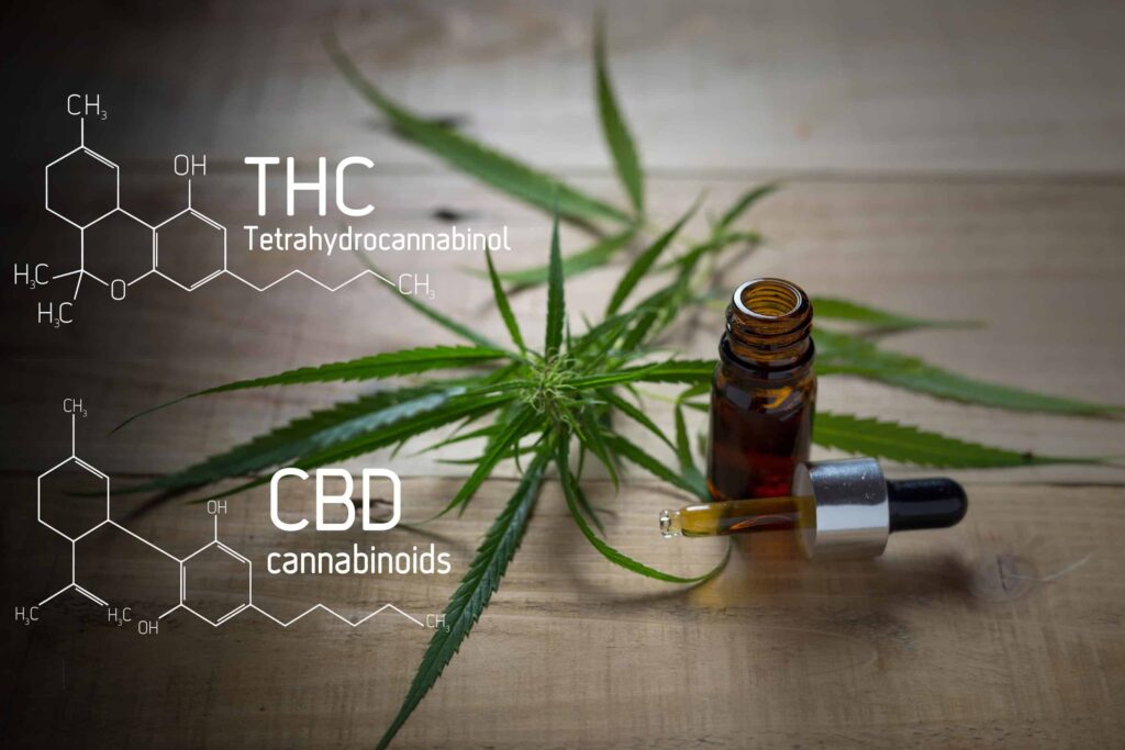 Dispensary records 7x traffic through organic SEO optimizations