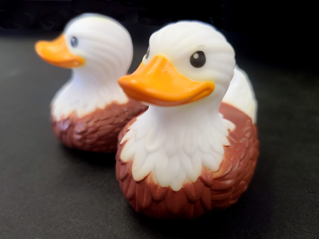 Talon Ducks